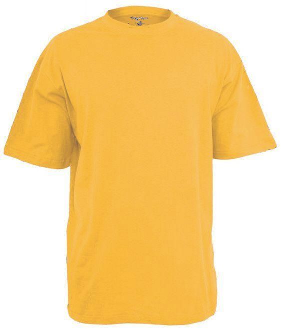 GREYSTONE Big Tall Man Cotton SHORT SLEEVE TEE SHIRT-9