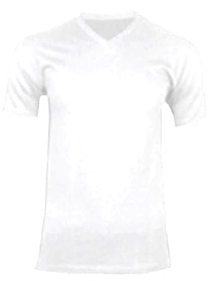GREYSTONE Big Tall Man Cotton V-NECK Tee Shirt-2