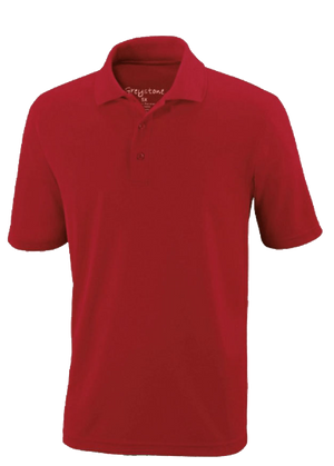 Greystone Brand Big Tall Polo Shirt for men. Comes in sizes 5XL 6XL 7XL 8XL 10XL 12XL 14XL and black, red and navy