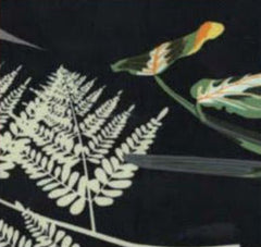 Falcon Bay Big Men's Patterned Swim Short - NOW 20% OFF LISTED PRICE!